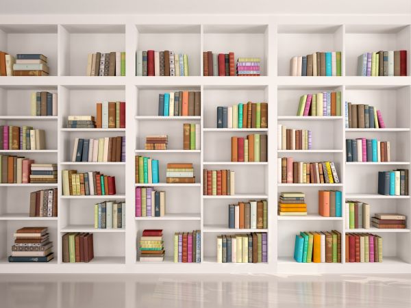Bookshelf Assembly in Pleasant Grove
